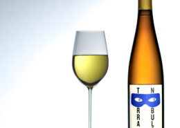 WDG_3505-bottle-full-1