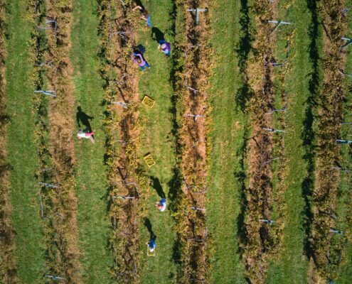 DJI_0122-20201003-Drone-Block-3