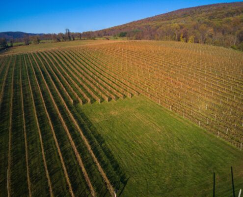 DJI_0047-20201025-20201102-Fall-Fields