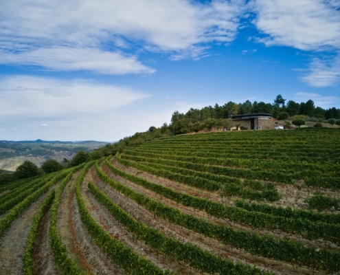 DJI_0503-20210-Porto-TopImages