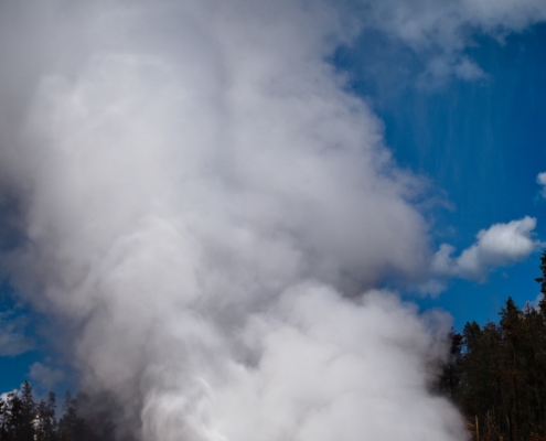 WDG_4829-20190612-Norris-Geysers