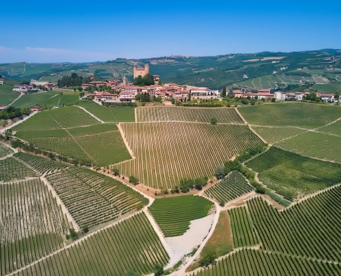 DJI_0113-TopImages