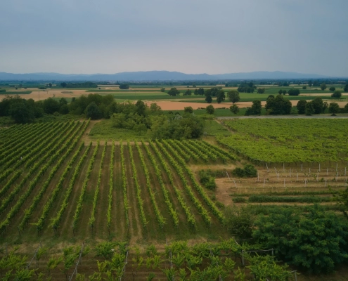 DJI_0223-TopImages