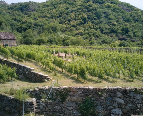 DJI_0246-TopImages