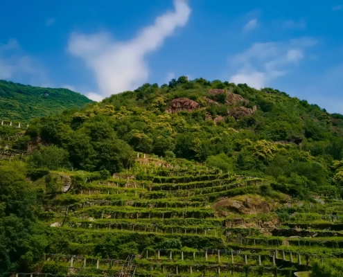 DJI_0249-TopImages
