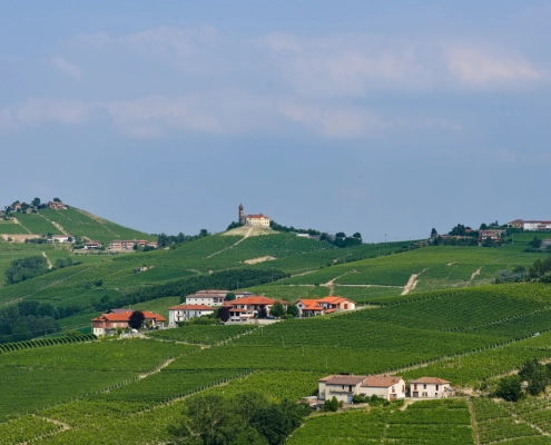 WDG_5348-TopImages
