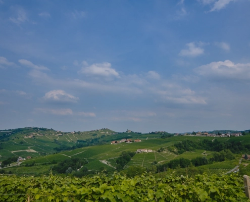 WDG_5359-TopImages