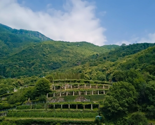 pano-DJI_0278-TopImages