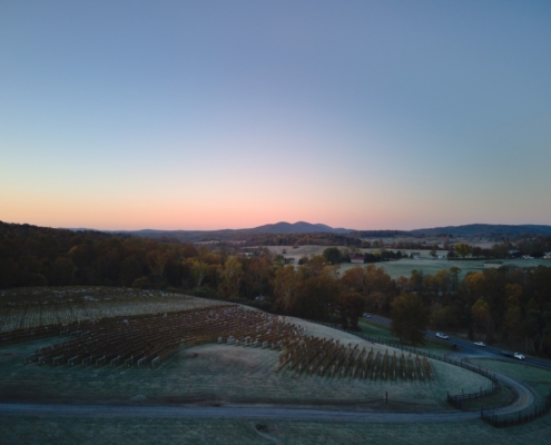 DJI_0016-20221021-Harvest