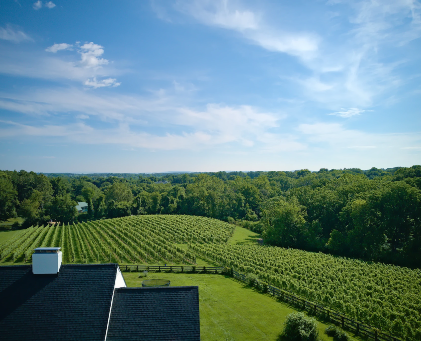 DJI_0014-20230705-Arials-Portraits-Barrels