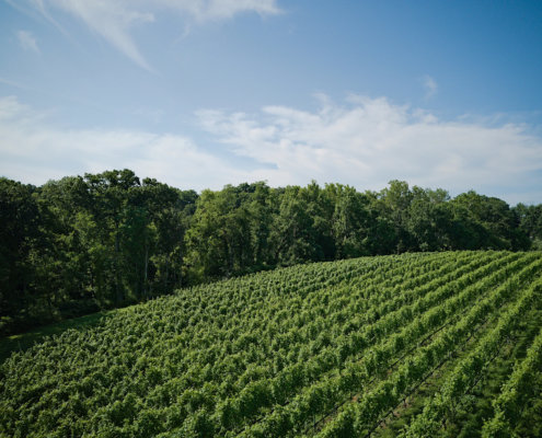 DJI_0042-20230705-Arials-Portraits-Barrels