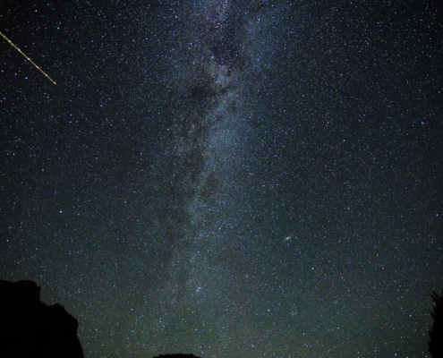 WDG_0441-20230805-Yosemite