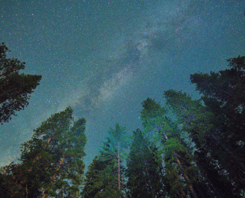 WDG_0461-20230805-Yosemite