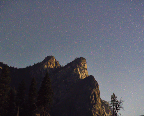 WDG_0489-20230805-Yosemite