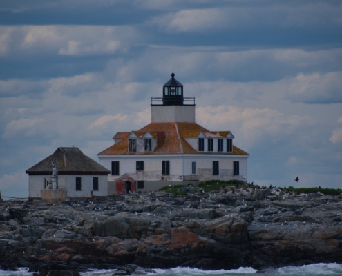 WDG_2170-20240530-Whale-Watching