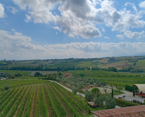 DJI_0170-20240926-Montepulciano