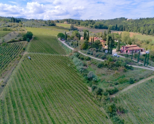 DJI_0241-20240930-Montespertoli