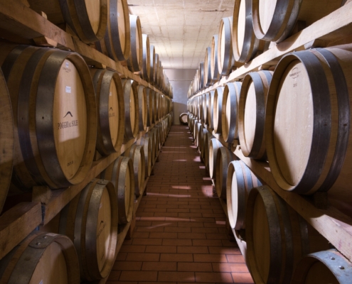 WDG_3785-20240927-Chianti