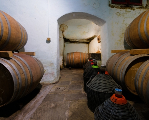 WDG_3832-20240928-Carmignano